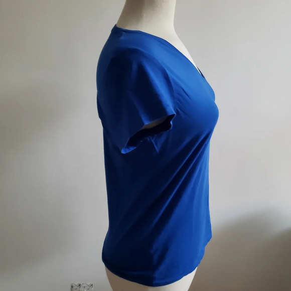 Polo by Ralph Lauren Tee / Royal Blue V-Neck / Size Medium - Picture 3 of 5